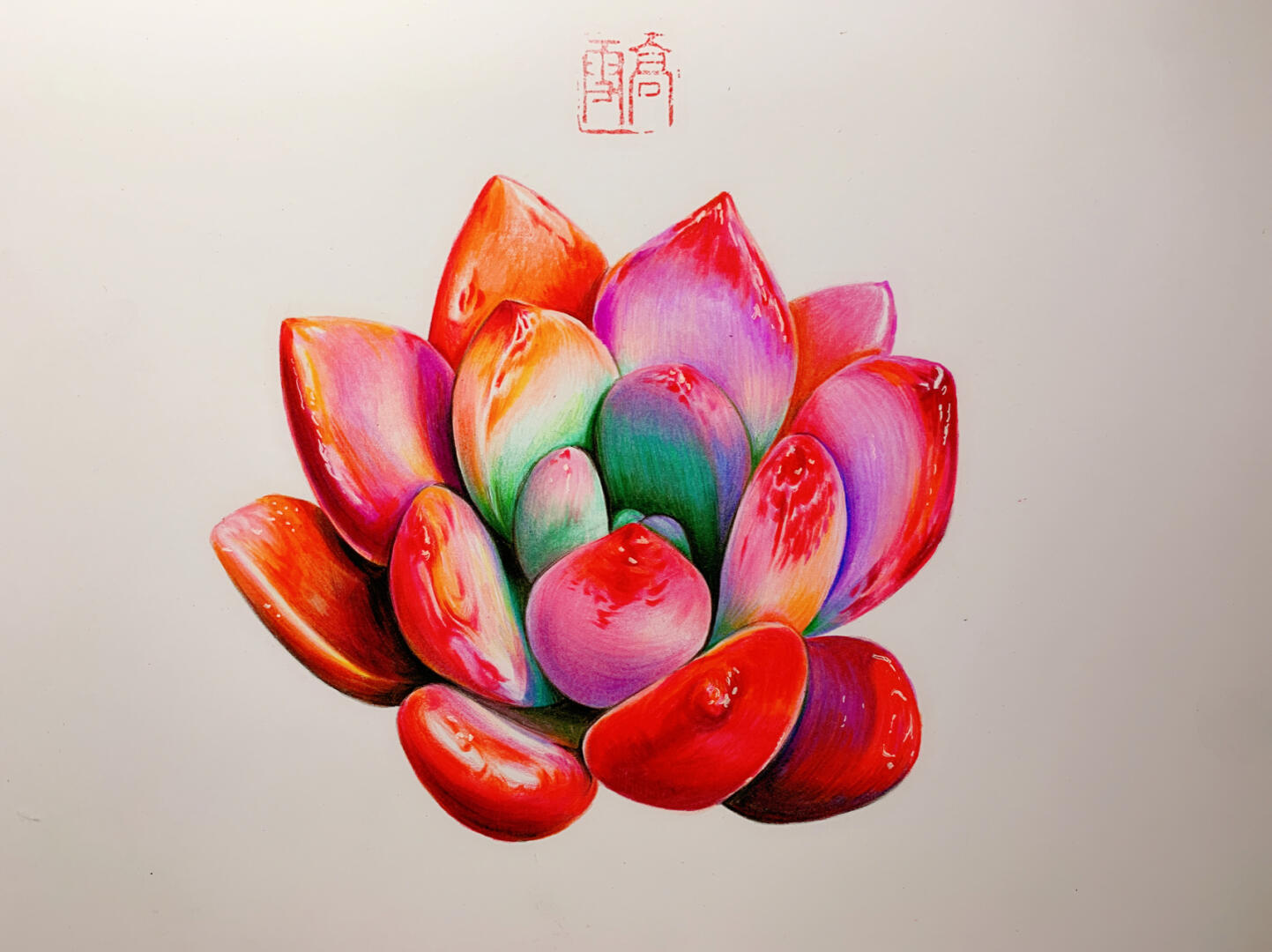 芙蓉翠鸟 第 1 张
